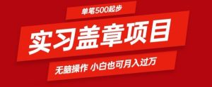 实习代盖章项目一单500起普通人可落地项目小白也可轻易上手-指尖网