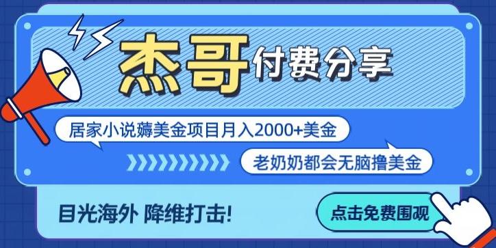 拆解海外撸美金项目月入2000美刀详细指导-指尖网