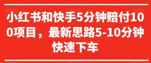 小红书和快手5分钟赔付100项目，最新思路5-10分钟快速下车【仅揭秘】-指尖网