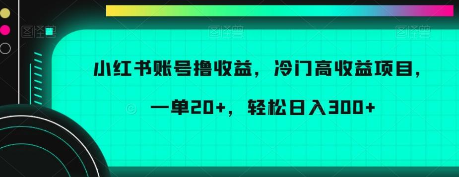 小红书账号撸收益，冷门高收益项目，一单20+，轻松日入300+【揭秘】-指尖网