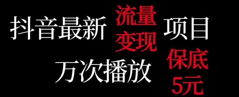 抖音流量变现，万次播放保底5元，额外收入-指尖网