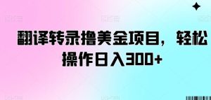 翻译转录撸美金项目，轻松操作日入300+【揭秘】-指尖网