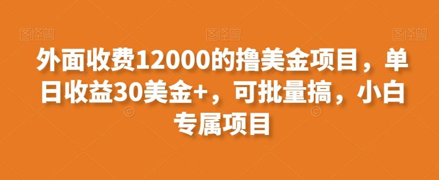 外面收费12000的撸美金项目，单日收益30美金+，可批量搞，小白专属项目-指尖网