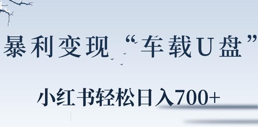 小红书“车载U盘”暴利引流，日入700+-指尖网