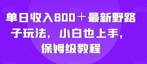 单日收入800＋最新野路子玩法，小白也上手，保姆级教程-指尖网