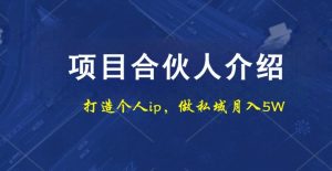 项目合伙人项目，打造个人IP，做私域月入5W，小白勿扰-指尖网