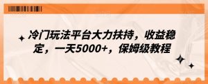 冷门玩法平台大力扶持，收益稳定，一天5000+，保姆级教程（附抖音7天起号法）-指尖网