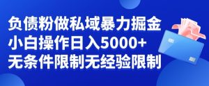 负债粉私域暴力掘金，小白操作入5000，无经验限制，无条件限制【揭秘】-指尖网