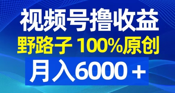 视频号野路子撸收益，100%原创，条条爆款，月入6000＋【揭秘】-指尖网