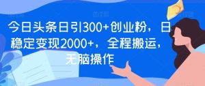 今日头条日引300+创业粉，日稳定变现2000+，全程搬运，无脑操作-指尖网