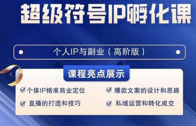 超级符号IP孵化高阶课，建立流量思维底层逻辑，打造属于自己IP（51节课）-指尖网