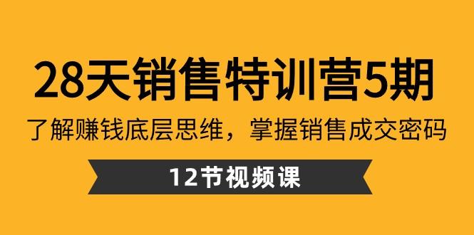 28天销售特训营5期：了解赚钱底层思维，掌握销售成交密码（12节课）-指尖网