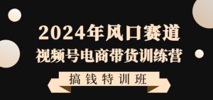 2024年风口赛道视频号电商带货训练营搞钱特训班，带领大家快速入局自媒体电商带货-指尖网