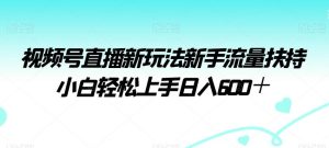 视频号直播新玩法新手流量扶持小白轻松上手日入600＋【揭秘】-指尖网