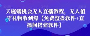 天庭蟠桃会无人直播教程，无人值守礼物收到爆【免费整蛊软件+直播间搭建软件】-指尖网