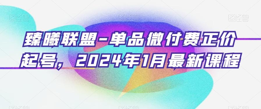 臻曦联盟-单品微付费正价起号，2024年1月最新课程-指尖网