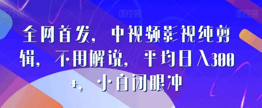 全网首发，中视频影视纯剪辑，不用解说，平均日入300+，小白闭眼冲-指尖网