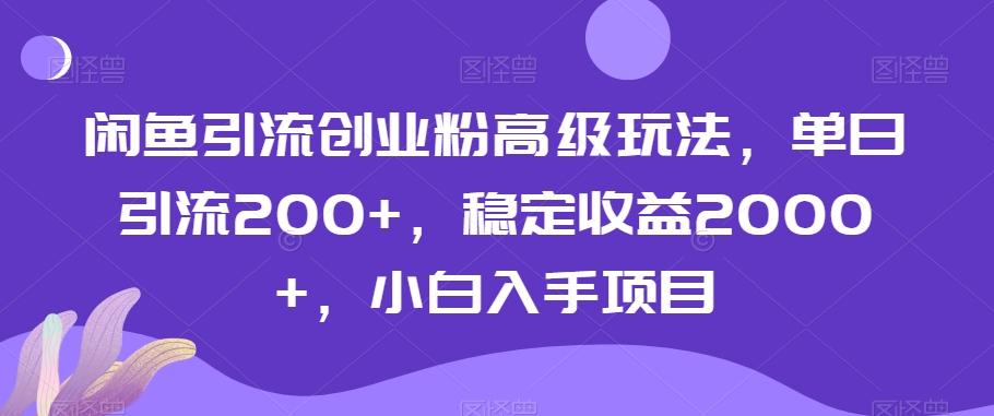 闲鱼引流创业粉高级玩法，单日引流200+，稳定收益2000+，小白入手项目-指尖网