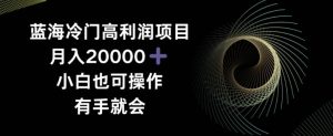 蓝海冷门高利润项目月入2000，小白也可操作有手就会-指尖网