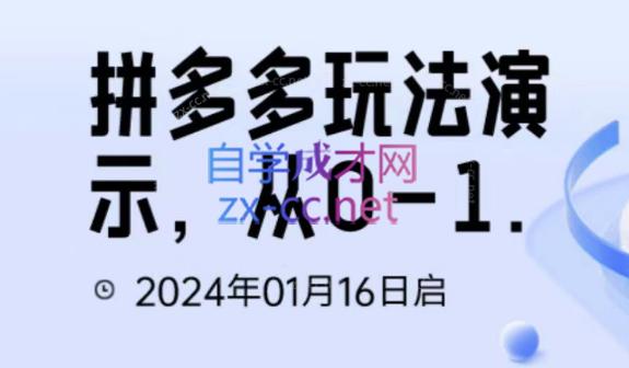 吴老师·拼多多从选品到截流到付费的玩法技巧-指尖网