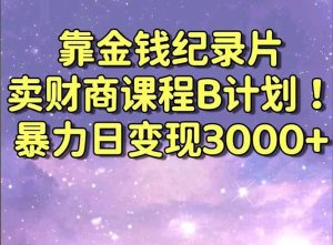 靠金钱纪录片卖财商课程B计划！暴力日变现3000+，喂饭式干货教程！-指尖网