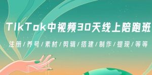 TikTok中视频-30天线上陪跑班：注册/养号/素材/剪辑/搭建/制作/提现/等等-指尖网