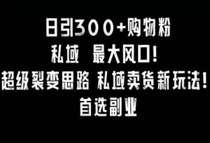 日引300+购物粉，超级裂变思路，私域卖货新玩法，小红书首选副业【揭秘】-指尖网