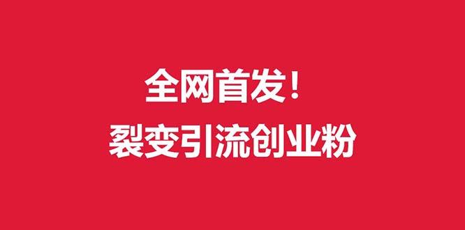 (全网首发)外面收费几千的裂变引流高质量创业粉-指尖网