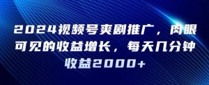 2024视频号爽剧推广，肉眼可见的收益增长，每天几分钟收益2000+【揭秘】-指尖网