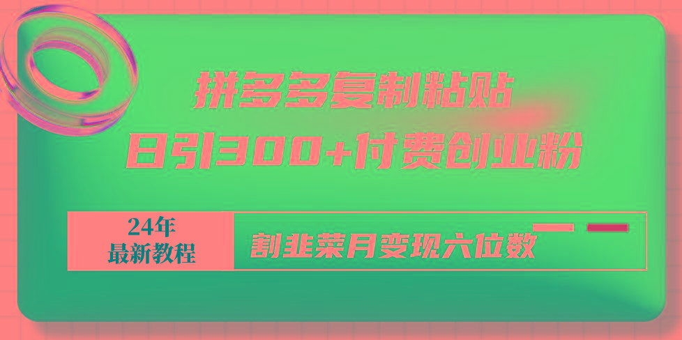 拼多多复制粘贴日引300+付费创业粉，割韭菜月变现六位数最新教程！-指尖网