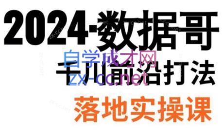 数据哥·2024年千川前沿打法落地实操课-指尖网