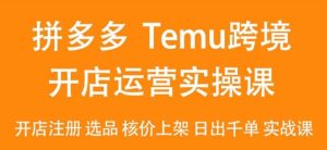 2024Temu最新玩法，Temu跨境开店运营实操课，开店注册/选品/核价上架/日出千单实战课-指尖网