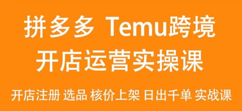 2024Temu最新玩法，Temu跨境开店运营实操课，开店注册/选品/核价上架/日出千单实战课-指尖网