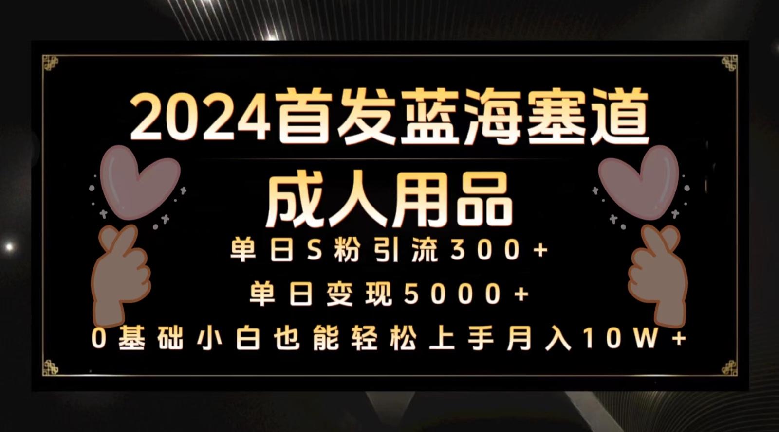 2024首发蓝海塞道成人用品，月入10W+保姆教程-指尖网