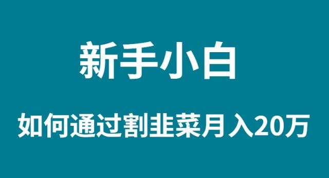 (9308期)新手小白如何通过割韭菜月入 20W-指尖网