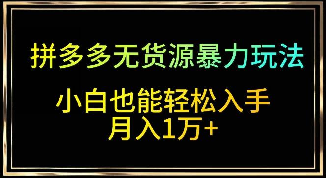 拼多多无货源暴力玩法，全程干货，小白也能轻松入手，月入1万+【揭秘】-指尖网