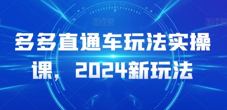 多多直通车玩法实操课，2024新玩法-指尖网