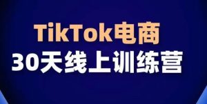 TikTok电商带货30天线上课，不可错过的全球流量洼地！-指尖网