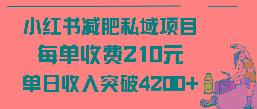 (9466期)小红书减肥私域项目每单收费210元单日成交20单，最高日入4200+-指尖网