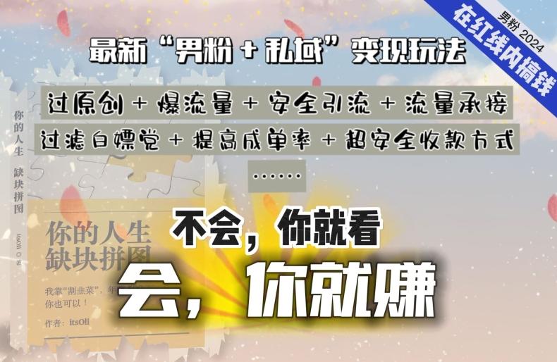 2024，“男粉+私域”还是最耐造、最赚、最轻松、最愉快的变现方式【揭秘】-指尖网