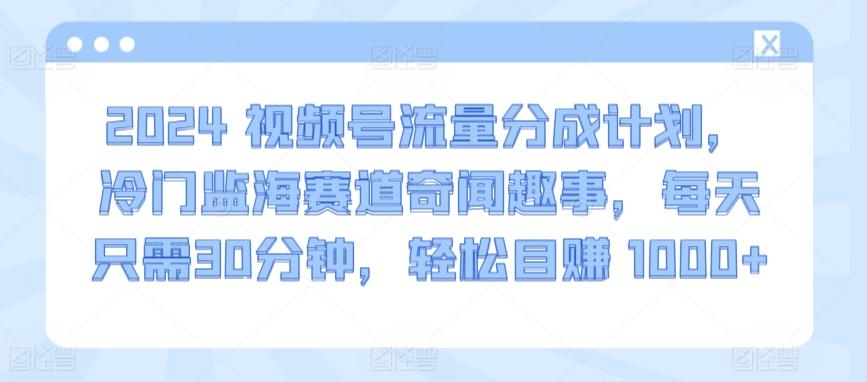 2024视频号流量分成计划，冷门监海赛道奇闻趣事，每天只需30分钟，轻松目赚 1000+【揭秘】-指尖网