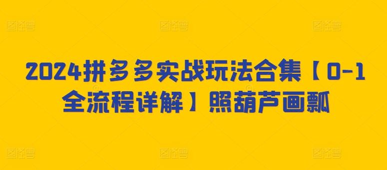 2024拼多多实战玩法合集【0-1全流程详解】照葫芦画瓢-指尖网