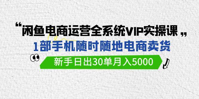 (9547期)闲鱼电商运营全系统VIP实战课，1部手机随时随地卖货，新手日出30单月入5000-指尖网