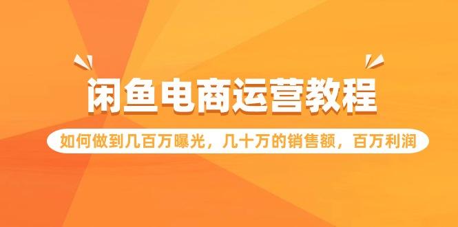 (9560期)闲鱼电商运营教程：如何做到几百万曝光，几十万的销售额，百万利润-指尖网