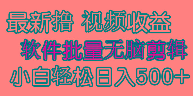 (9569期)发视频撸收益，软件无脑批量剪辑，第一天发第二天就有钱-指尖网