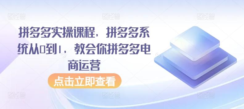 拼多多实操课程，拼多多系统从0到1，教会你拼多多电商运营-指尖网