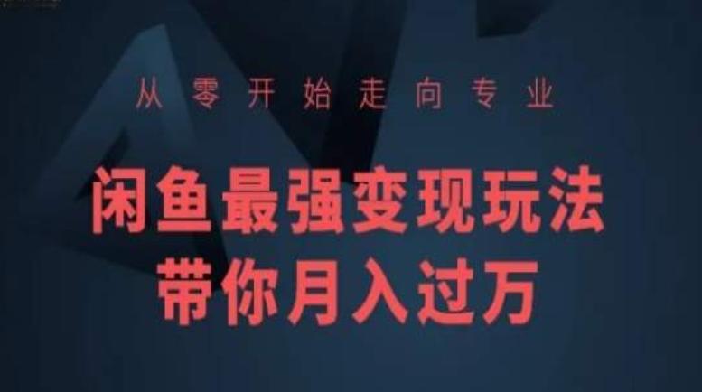 从零开始走向专业，闲鱼最强变现玩法带你月入过万-指尖网