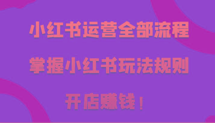 小红书运营全部流程，掌握小红书玩法规则，开店赚钱！-指尖网