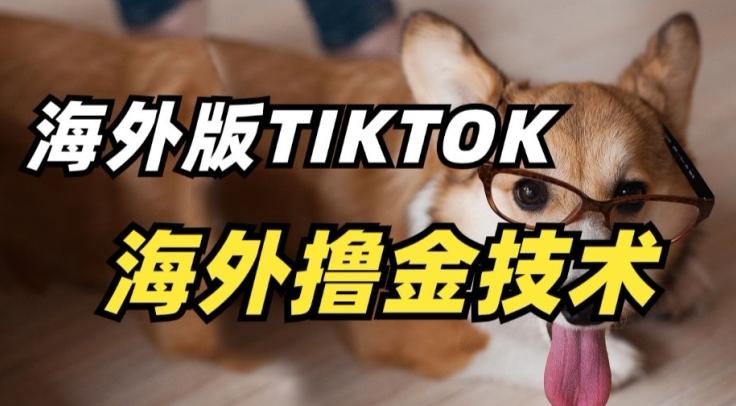 抖音海外版tiktok撸金技术，这个风口行业，赚钱真的不难【揭秘】-指尖网