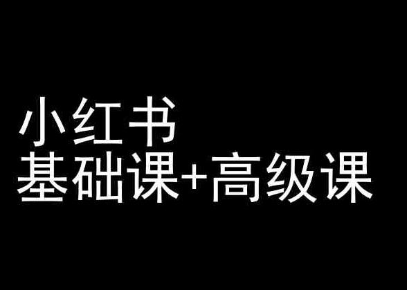 小红书基础课+高级课-小红书运营教程-指尖网